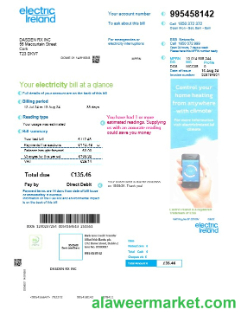 IRELAND ELECTRIC IRELAND business utility bill Word and PDF template